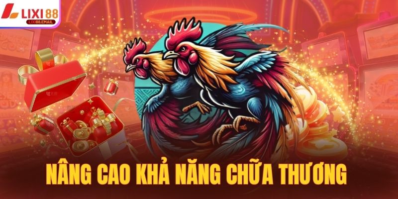 Nâng cao khả năng chữa thương cho chiến kê 