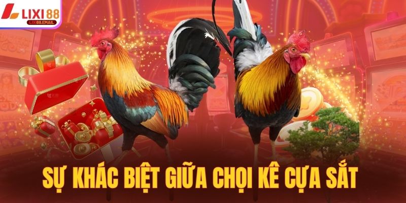 Sự khác biệt giữa chọi kê cựa sắt với phần còn lại 