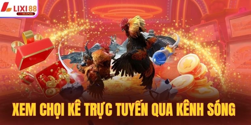 Xem chọi kê trực tuyến qua kênh sóng 